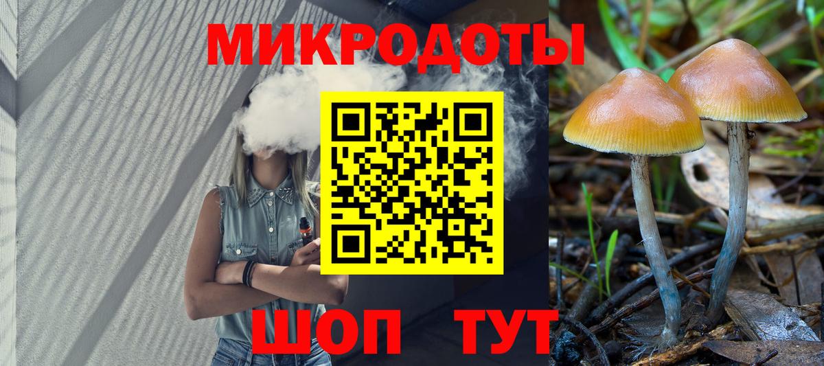 Карабулак  Псилоцибиновые грибы ЛСД  Вход с VPN 